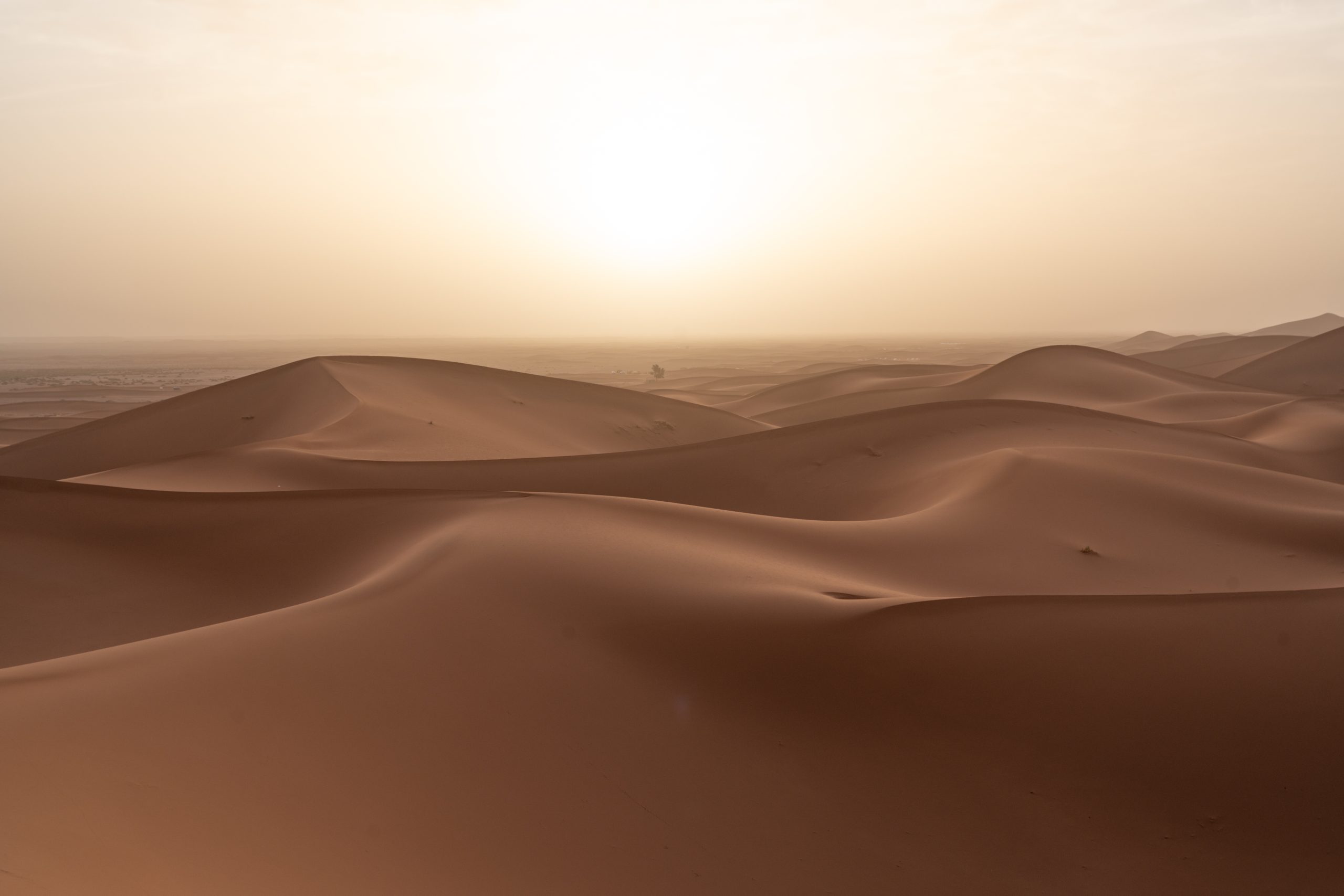 Die Sahara erstrahlt in der Morgensonne Die Sahara in der Morgensonne