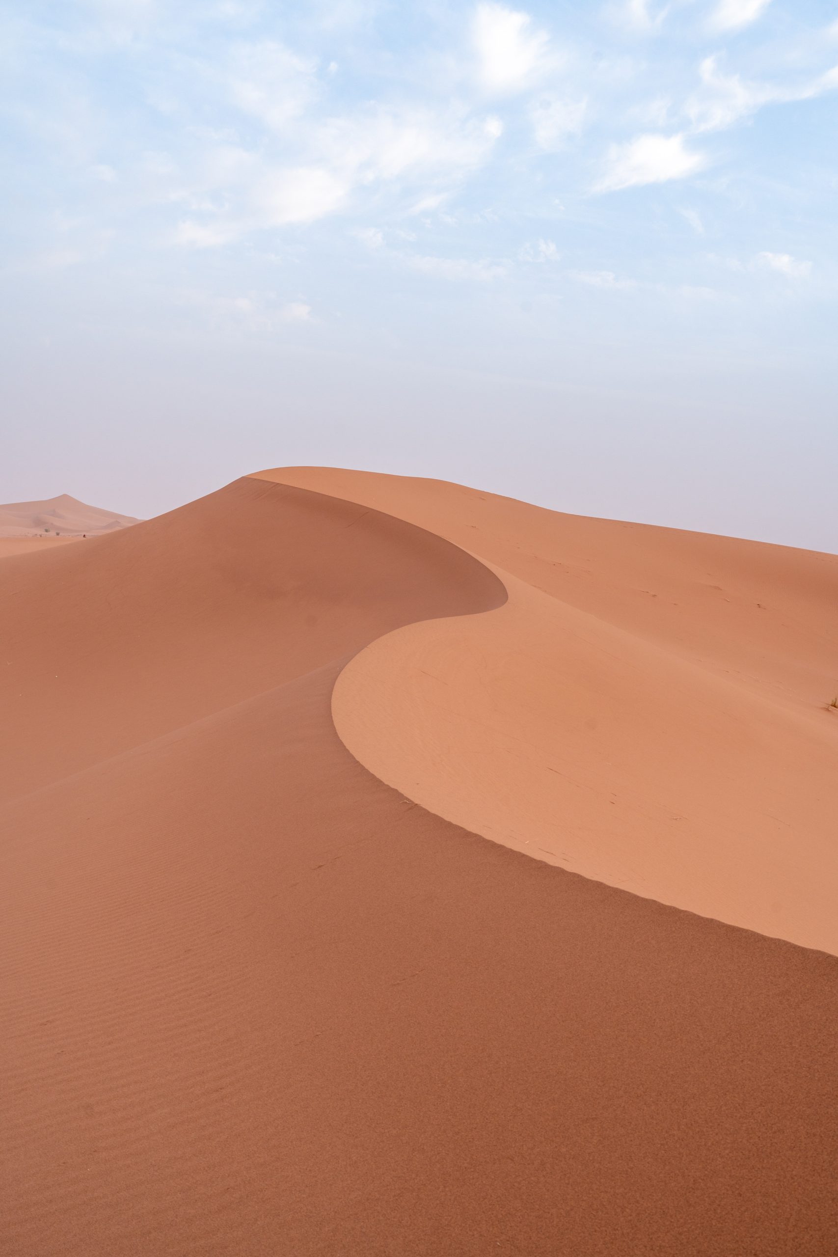 Düne in der Sahara Düne in der Sahara