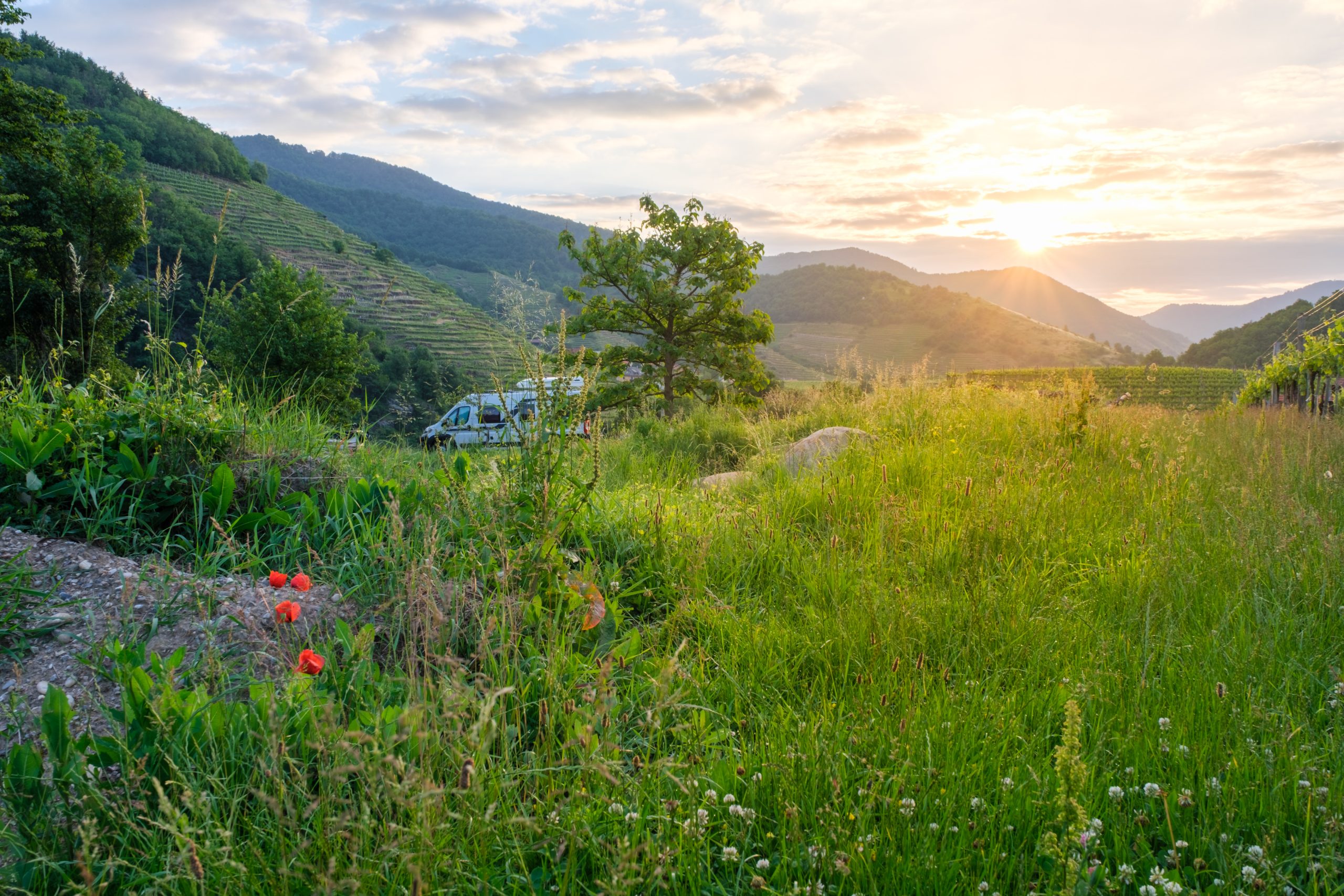 Mit dem Wohnmobil in der Wachau im Weingarten Mit dem Wohnmobil in der Wachau im Weingarten