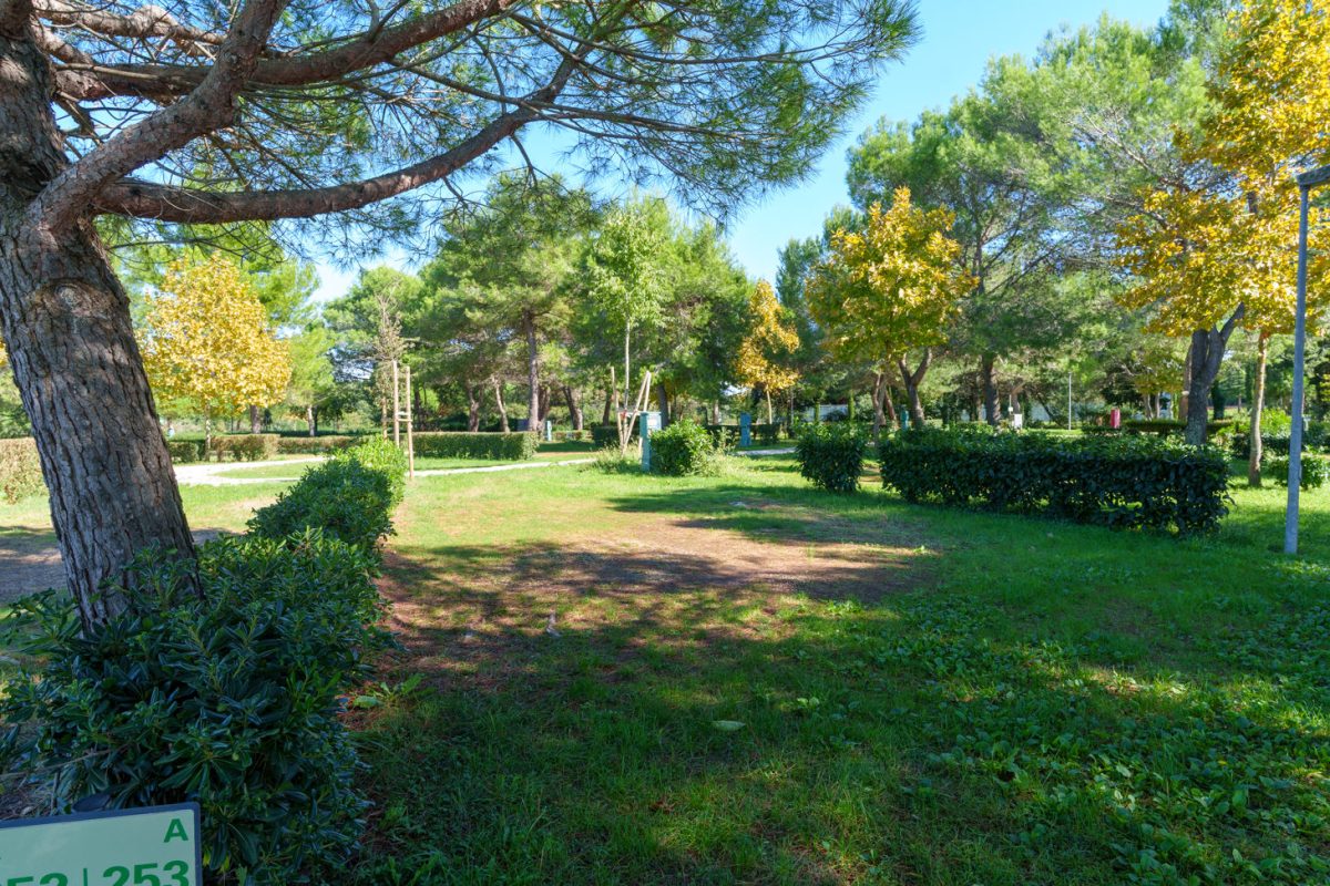 Campingplatz Orsera, Vrsar, Istrien 4 Camping Orsera Vrsar 0002