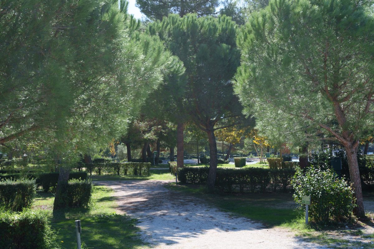 Campingplatz Orsera, Vrsar, Istrien 5 Camping Orsera Vrsar 0005