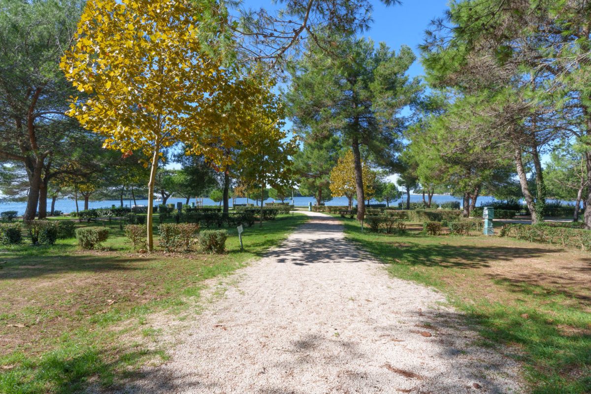 Campingplatz Orsera, Vrsar, Istrien 6 Camping Orsera Vrsar 0010