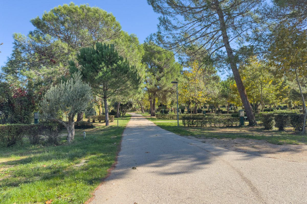 Campingplatz Orsera, Vrsar, Istrien 12 Camping Orsera Vrsar 0014