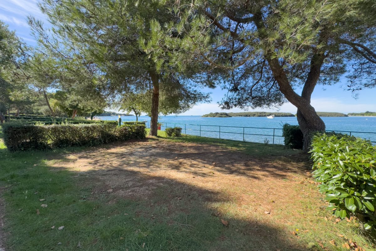 Campingplatz Orsera, Vrsar, Istrien 3 Camping Orsera Vrsar 0015 1
