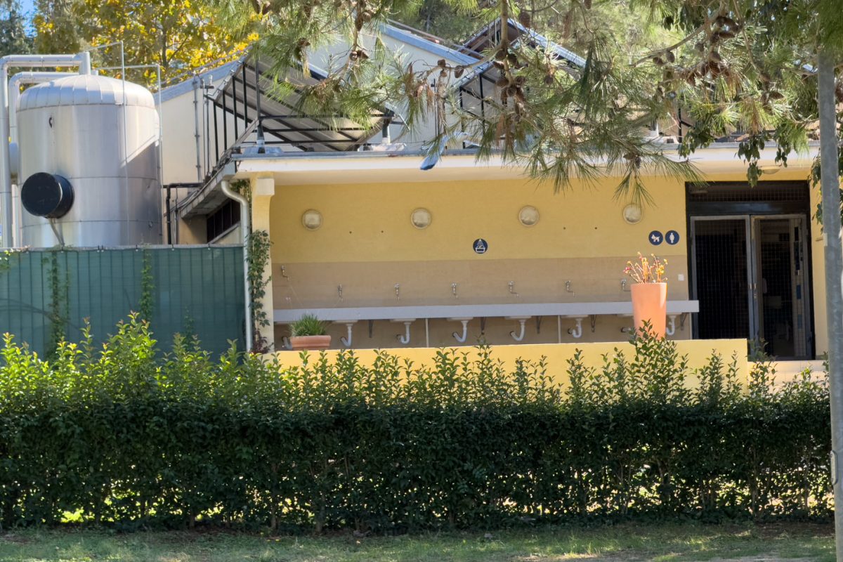 Campingplatz Orsera, Vrsar, Istrien 14 Camping Orsera Vrsar 0016