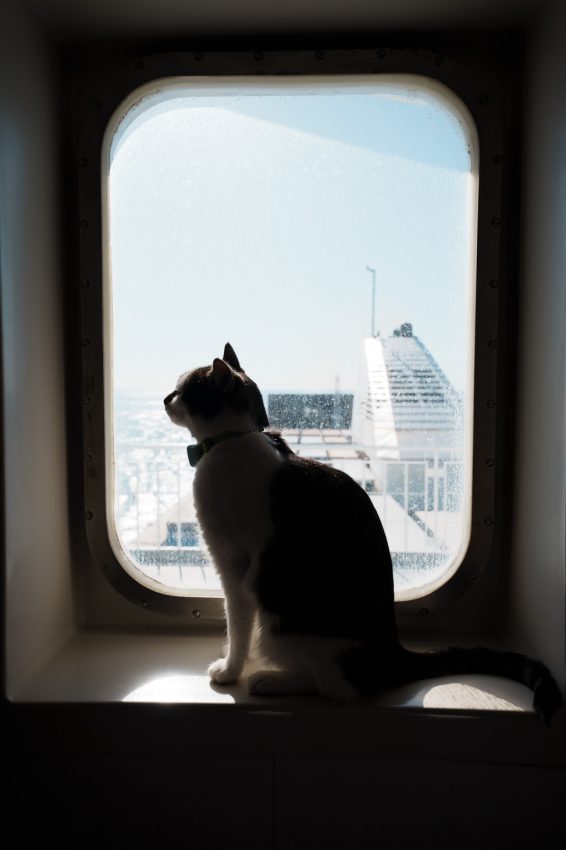 Faehre Termini Imarese Civitavecchia 17