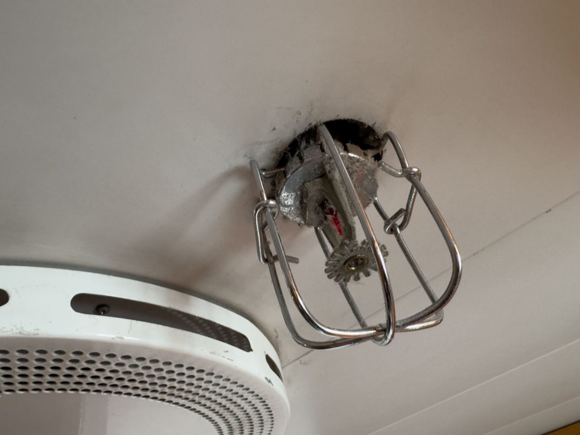 Faehre Termini Imarese Civitavecchia 25