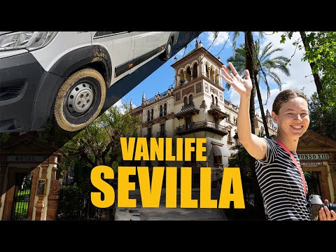 YouTube-Video-Vorschaubild