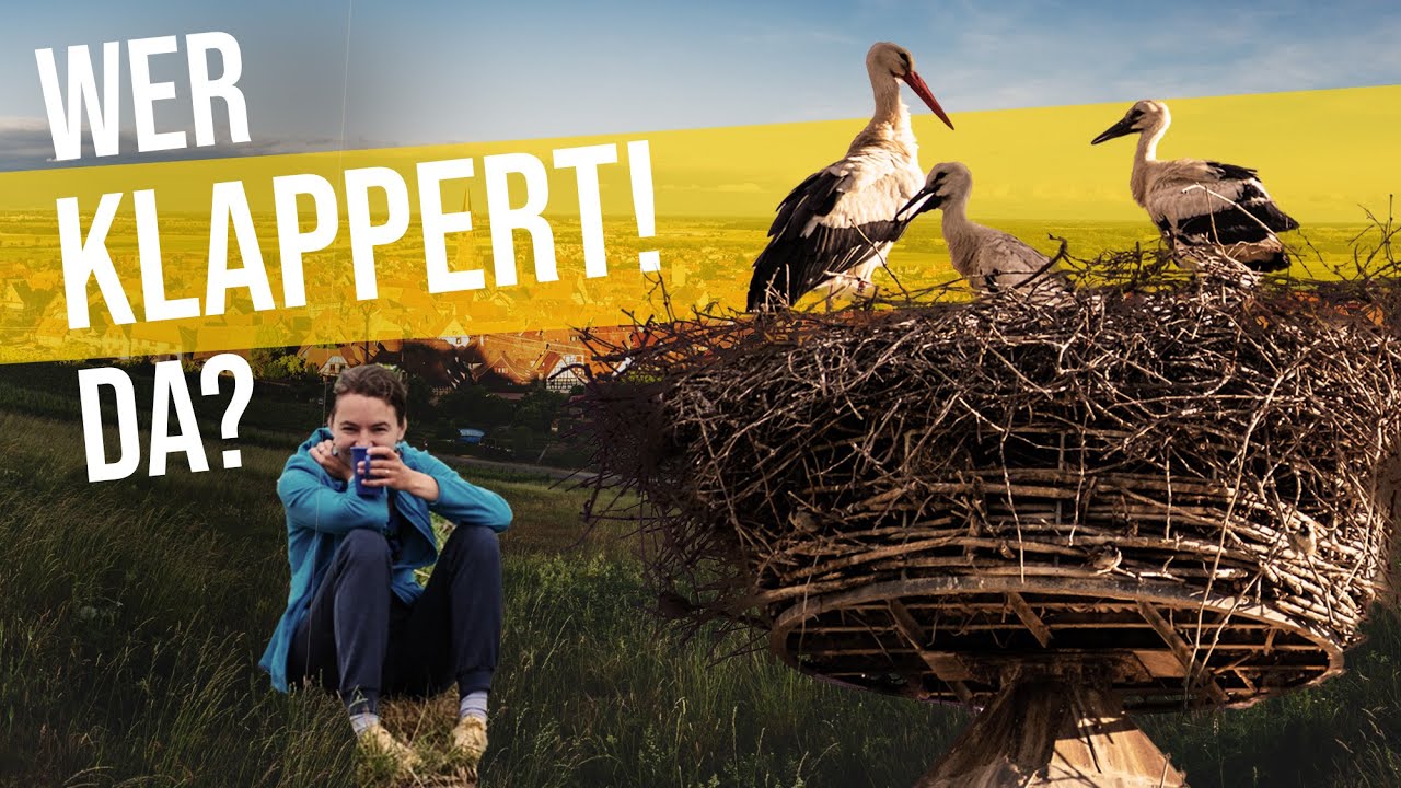 YouTube-Video-Vorschaubild